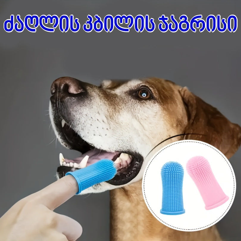 ძაღლის კბილის ჯაგრისი